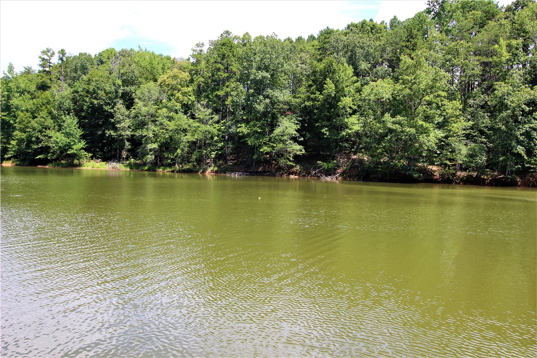 5026 Patterson Road Anderson, SC 29625 - Photo 22 of 29 No more houses or docks across the cove