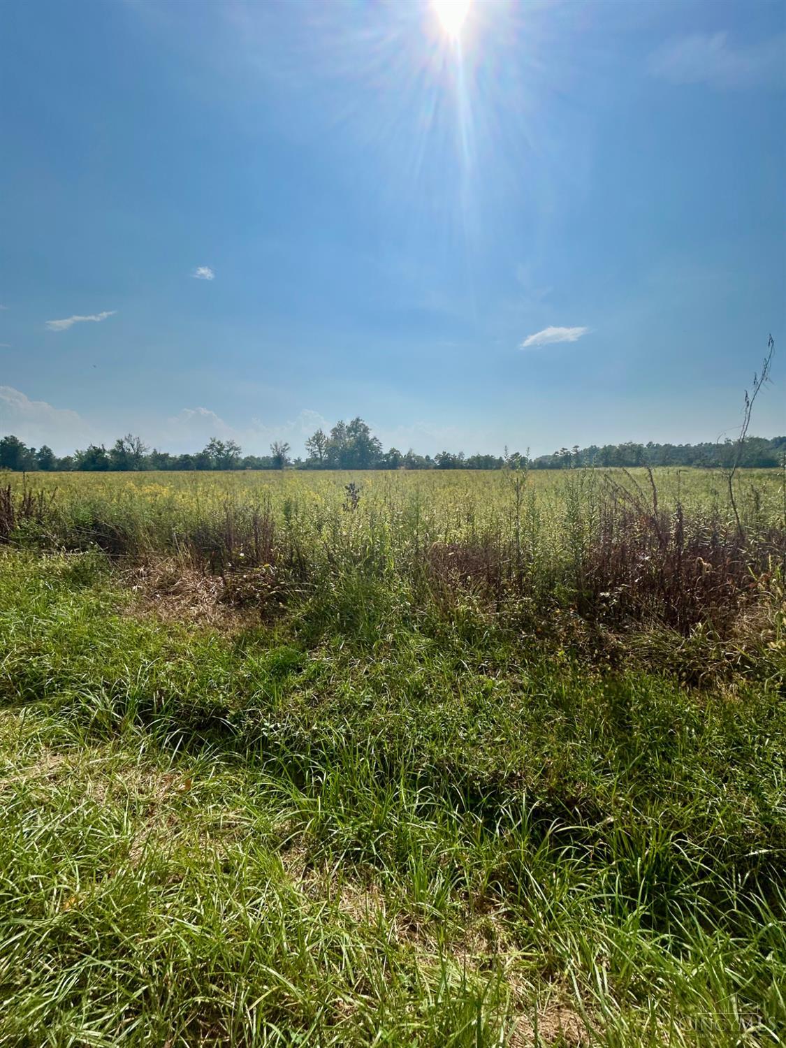 0 Templin Road Blanchester, OH 45107 - Photo 4 of 6 Gallery Image 4