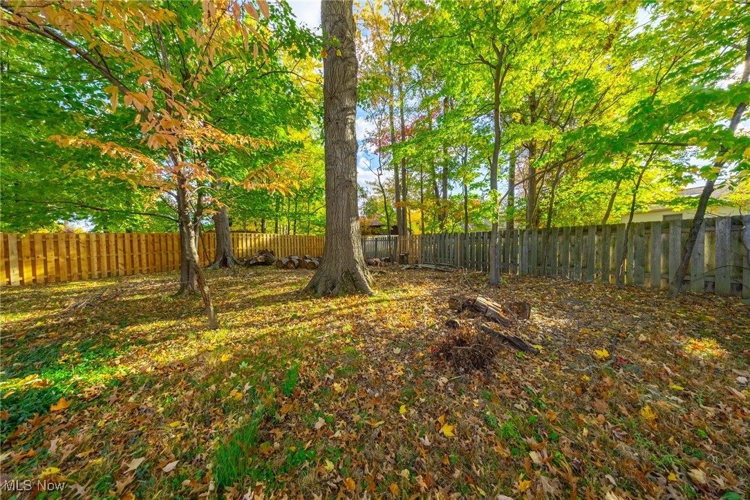 6623 Springdale Road Cleveland, OH 44130 - Photo 31 of 38