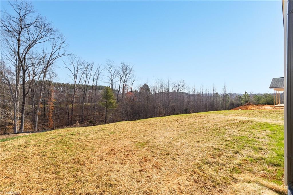 1675 Ashmead Lane Clemmons, NC 27012 - Photo 43 of 47 Mature landscaping borders rear property