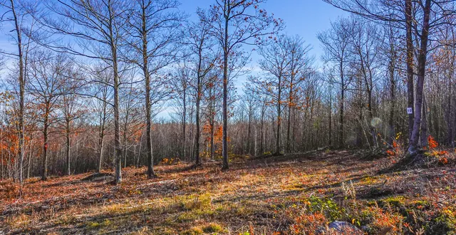 $69,900 | Lot 10 Mine Road, Stoneham, ME 04231