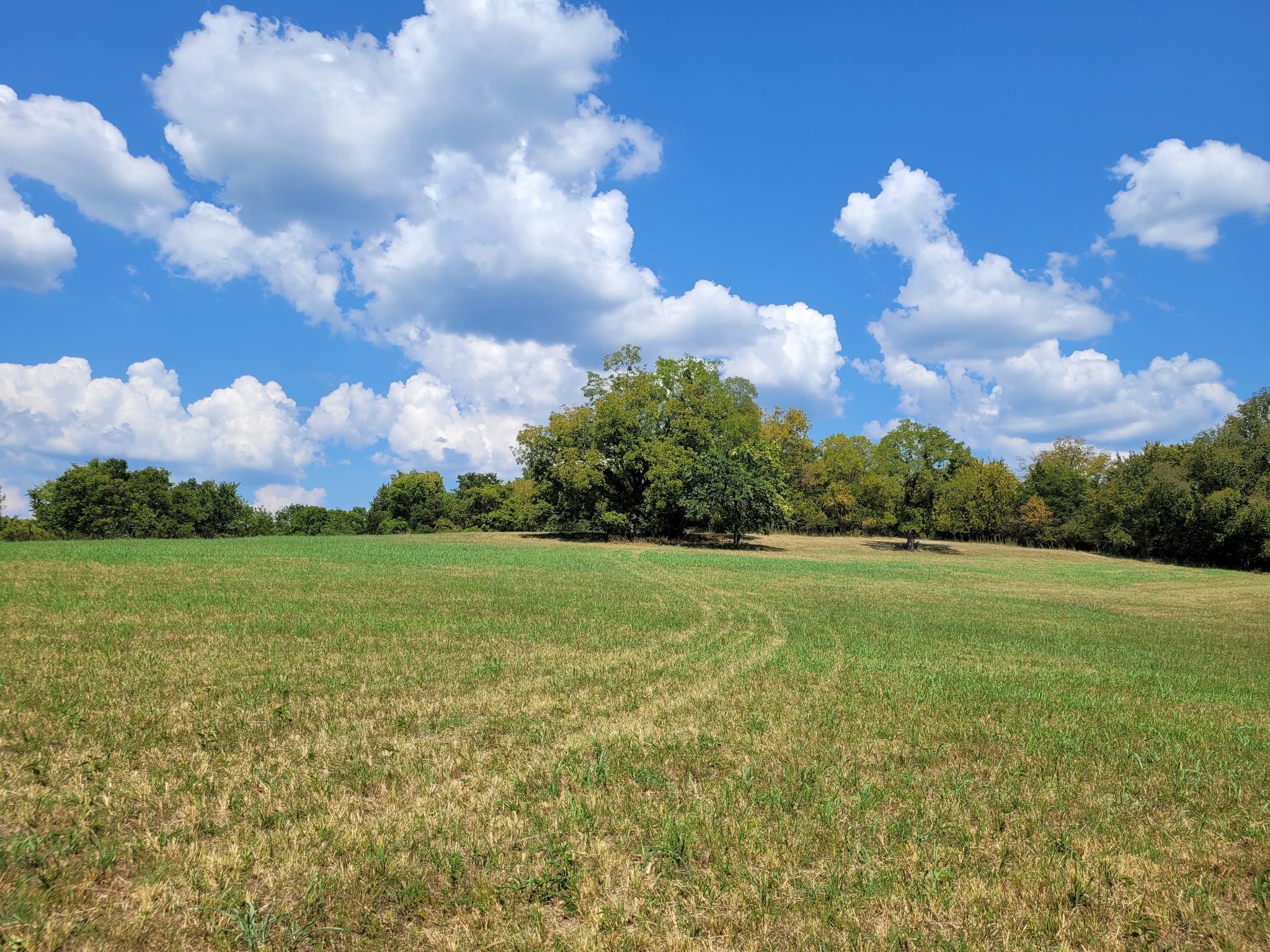 1289 Old Hopewell Road Bethpage, TN 37022 - Photo 32 of 42 Gallery Image 32