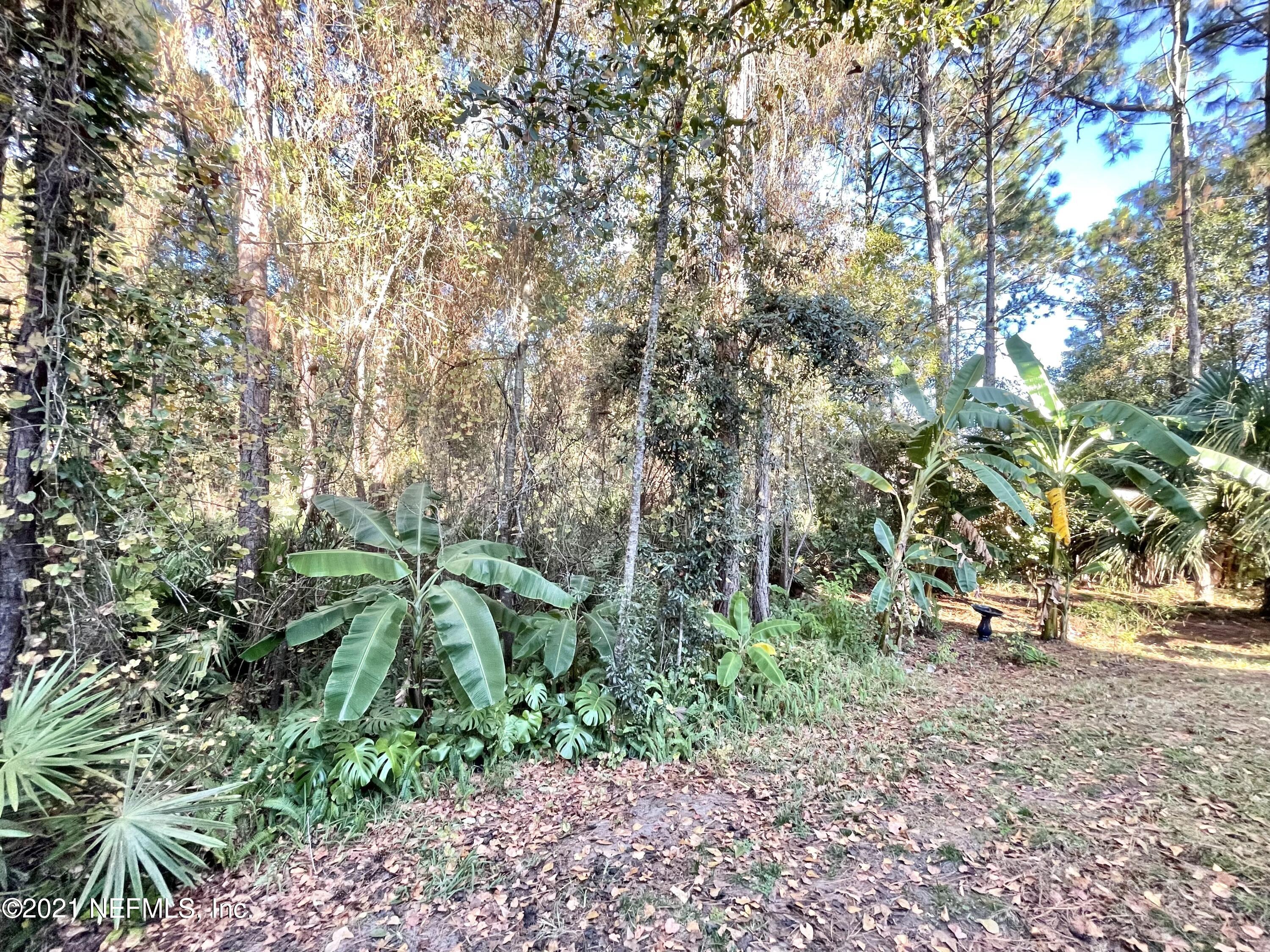 3585 Pebble Path Lane Jacksonville, FL 32224 - Photo 30 of 39 BACKYARD-3