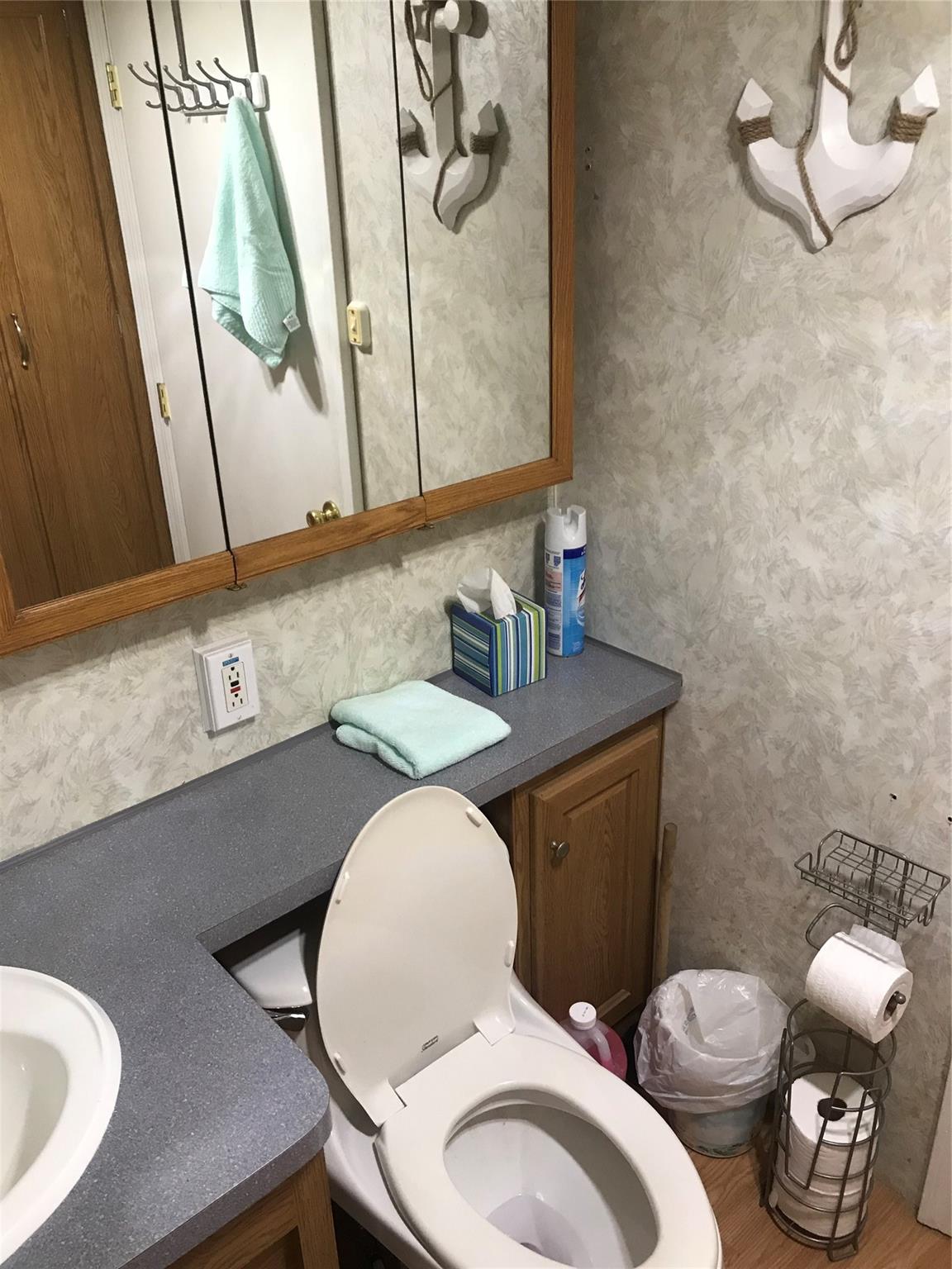 150 Roberts Ridge Road, Unit H48 Mount Gilead, NC 27306 - Photo 26 of 35 a bathroom with a toilet mirror and sink