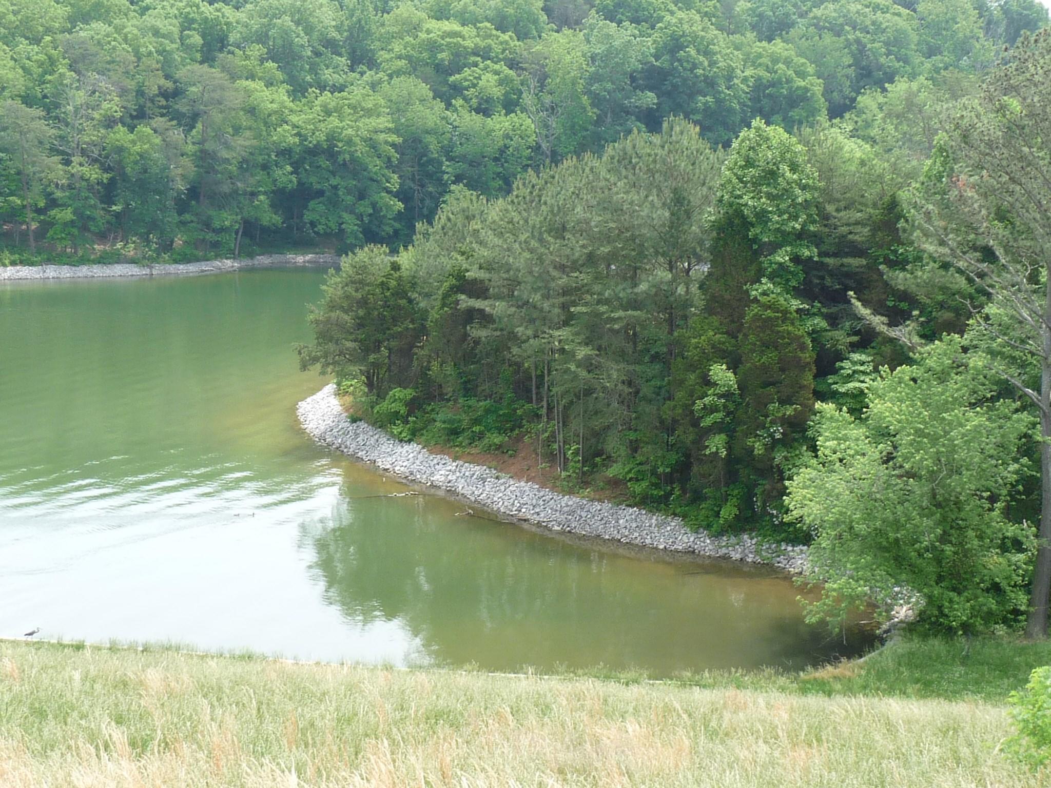 952-946 Parks Ferry Road Friendsville, TN 37737 - Photo 5 of 9 005_Private