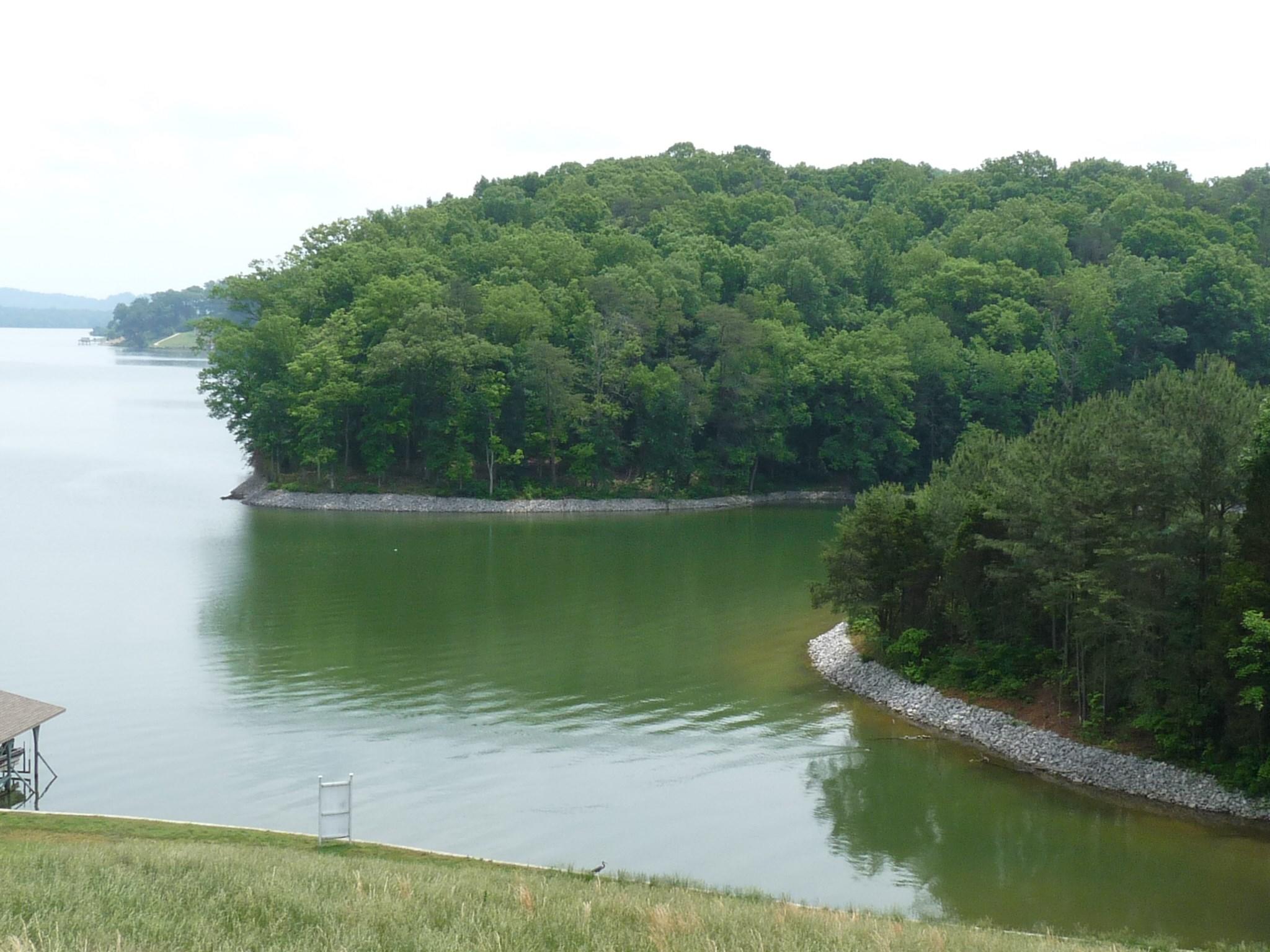 952-946 Parks Ferry Road Friendsville, TN 37737 - Photo 6 of 9 006_Build Your Dream Home!