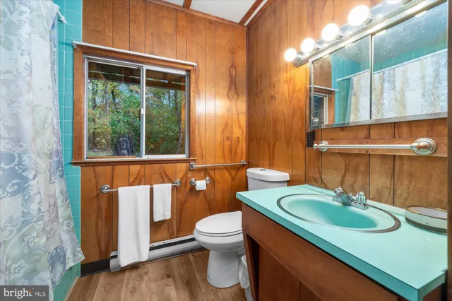a bathroom with a sink and a toilet