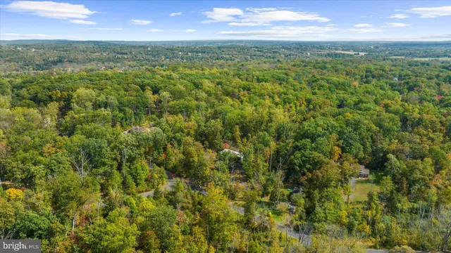an aerial view of residential houses with outdoor space and trees
