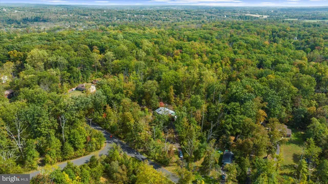 a view of a forest with a houses