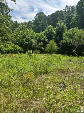 $29,000 | 585 Berryville Road, Jonesboro, IL 62952