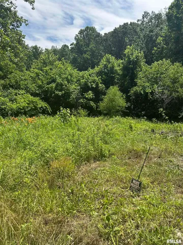 $29,000 | 585 Berryville Road, Jonesboro, IL 62952