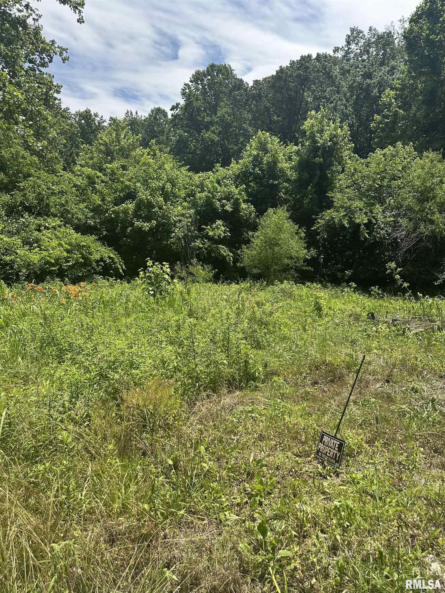 585 Berryville Road Jonesboro, IL 62952 - Photo 3 of 6