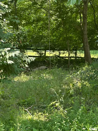 $29,000 | 585 Berryville Road, Jonesboro, IL 62952