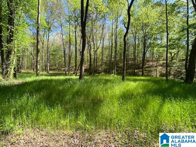 Mineral Springs Road, Unit 17 Pell City, AL 35125 - Photo 1 of 6