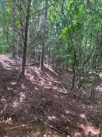 $22,000 | 0 Boyd Court, Upatoi, GA 31829