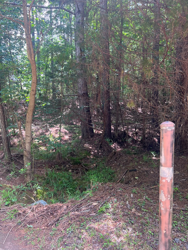 0 Boyd Court Upatoi, GA 31829 - Photo 2 of 2