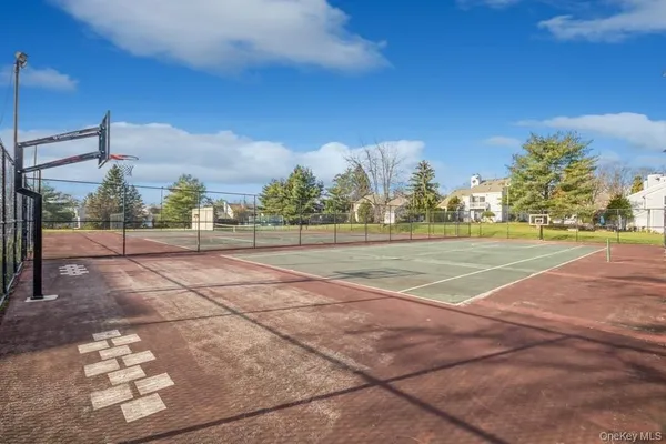 a view of road with large trees