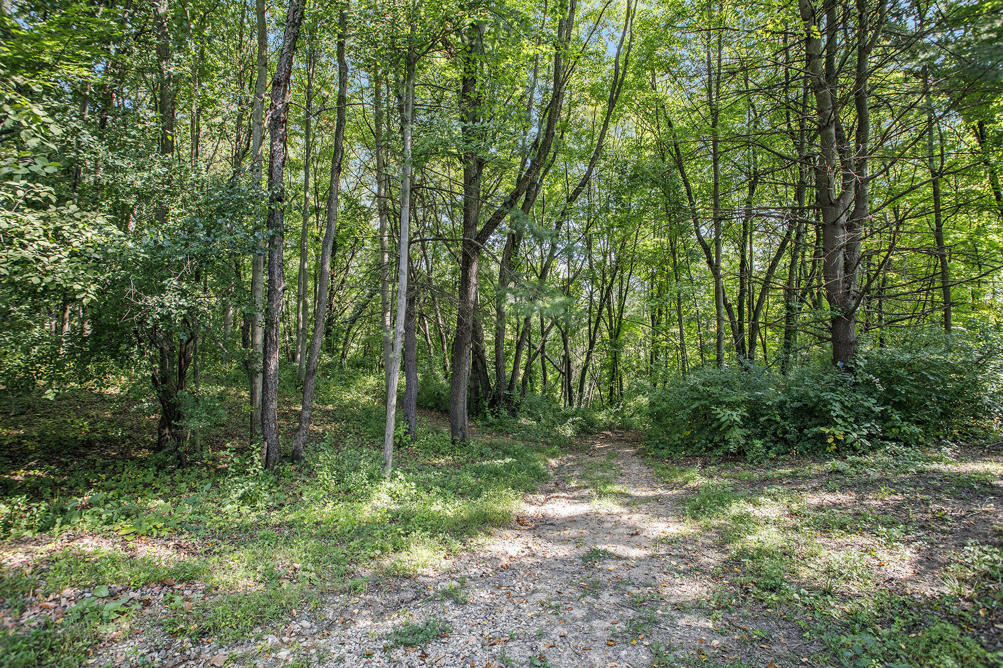 7606 North 46th Street Augusta, MI 49012 - Photo 46 of 62 015__90a3686_544