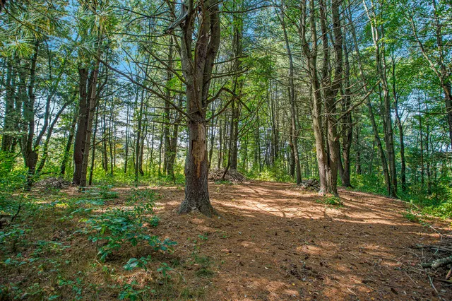 $949,900 | 7606 North 46th Street, Augusta, MI 49012