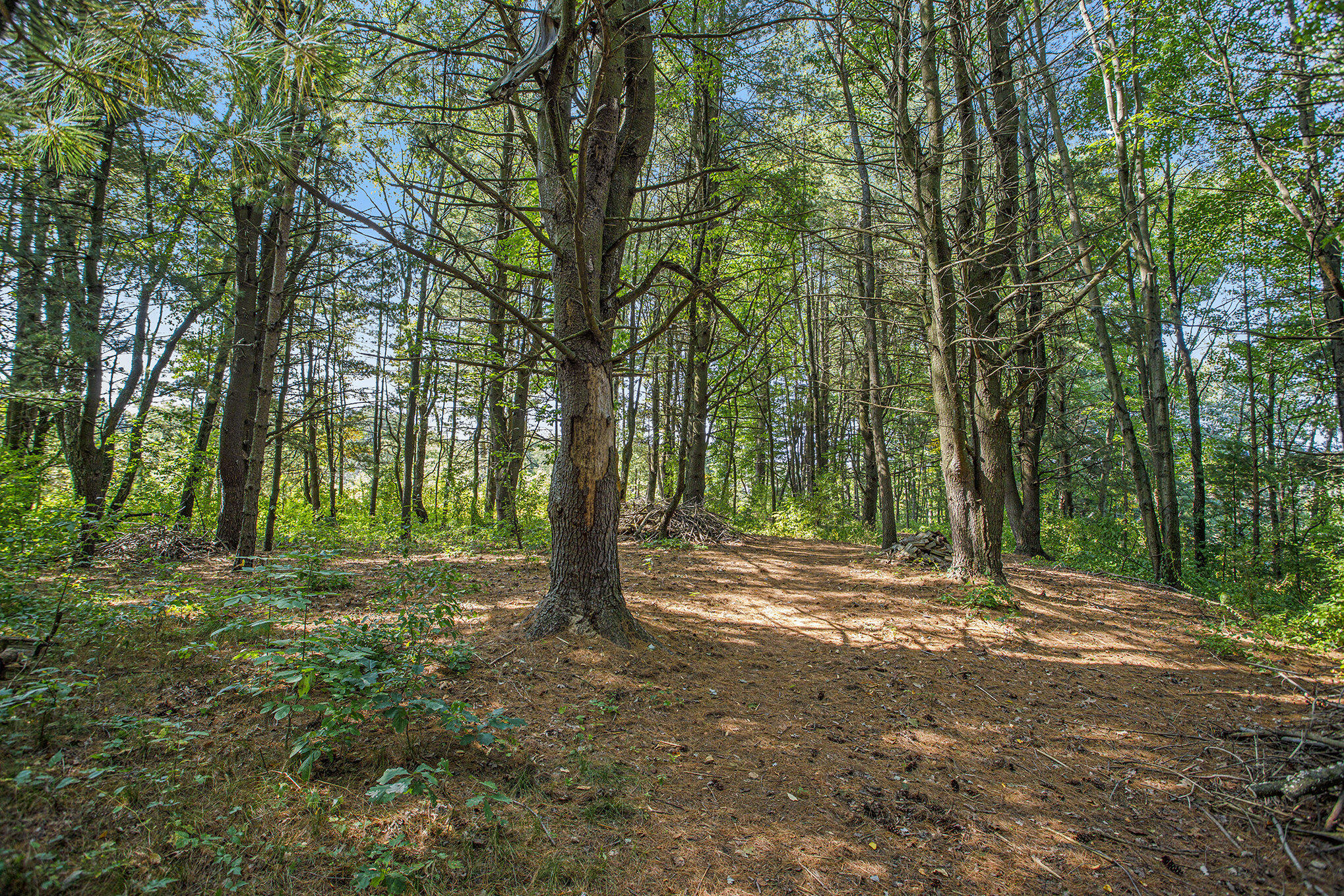 7606 North 46th Street Augusta, MI 49012 - Photo 48 of 62 017__90a3688_296