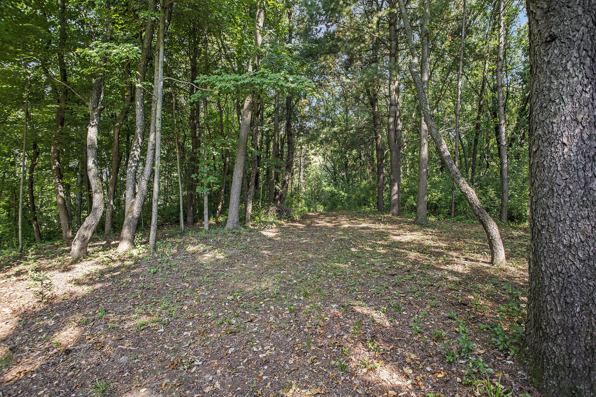 7606 North 46th Street Augusta, MI 49012 - Photo 49 of 62 018__90a3671_958