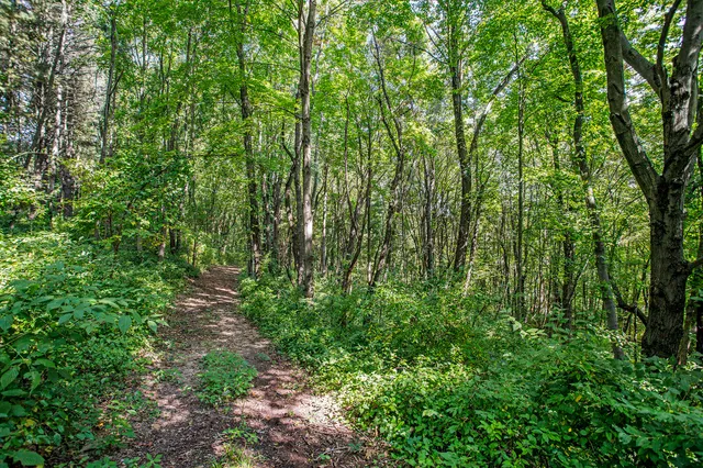 $949,900 | 7606 North 46th Street, Augusta, MI 49012