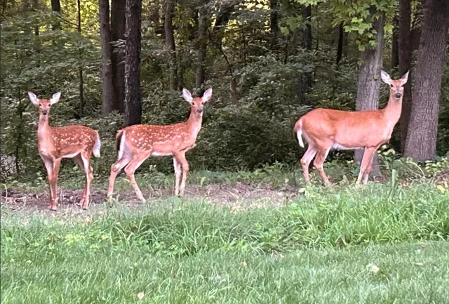 $949,900 | 7606 North 46th Street, Augusta, MI 49012