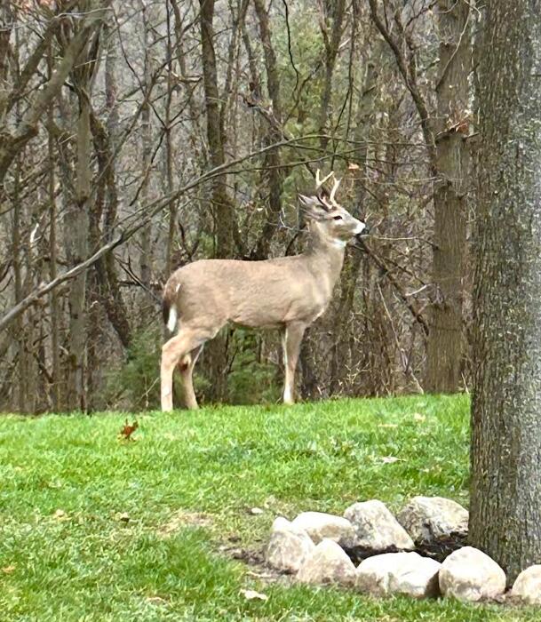 7606 North 46th Street Augusta, MI 49012 - Photo 53 of 62 46th3