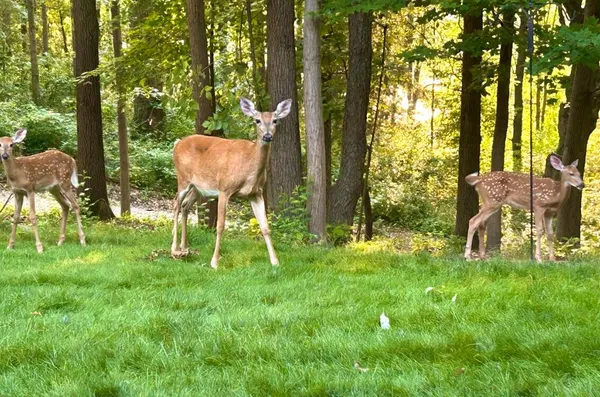 $949,900 | 7606 North 46th Street, Augusta, MI 49012