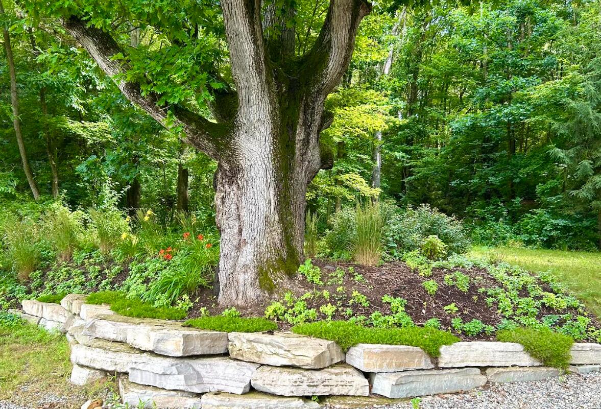 7606 North 46th Street Augusta, MI 49012 - Photo 60 of 62 46th 5