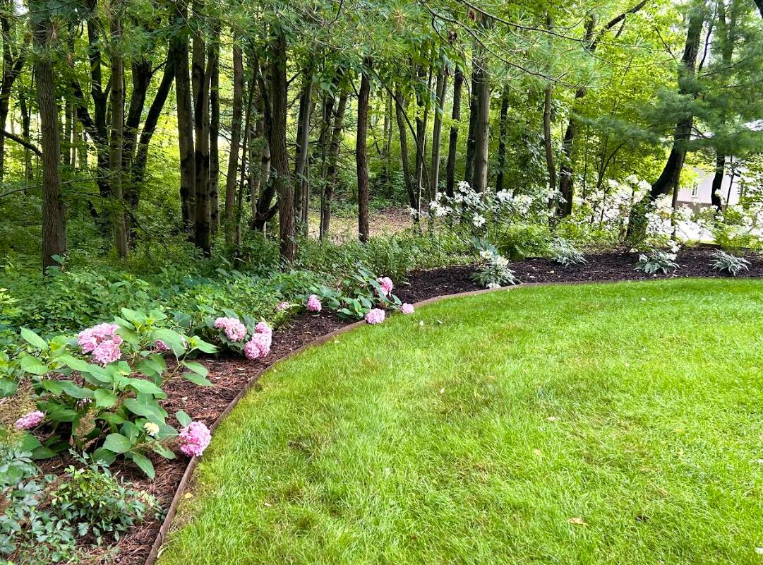 7606 North 46th Street Augusta, MI 49012 - Photo 61 of 62 46th 6