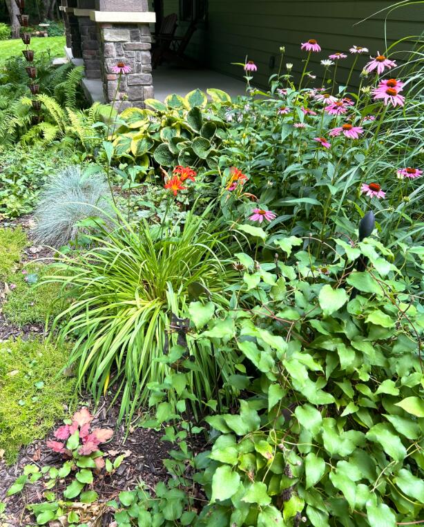 7606 North 46th Street Augusta, MI 49012 - Photo 62 of 62 46th 7