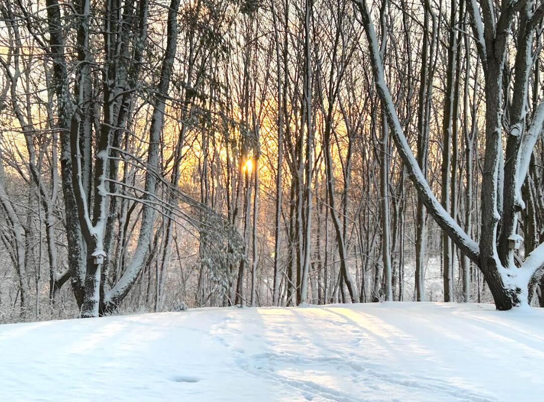 7606 North 46th Street Augusta, MI 49012 - Photo 10 of 62 46th4