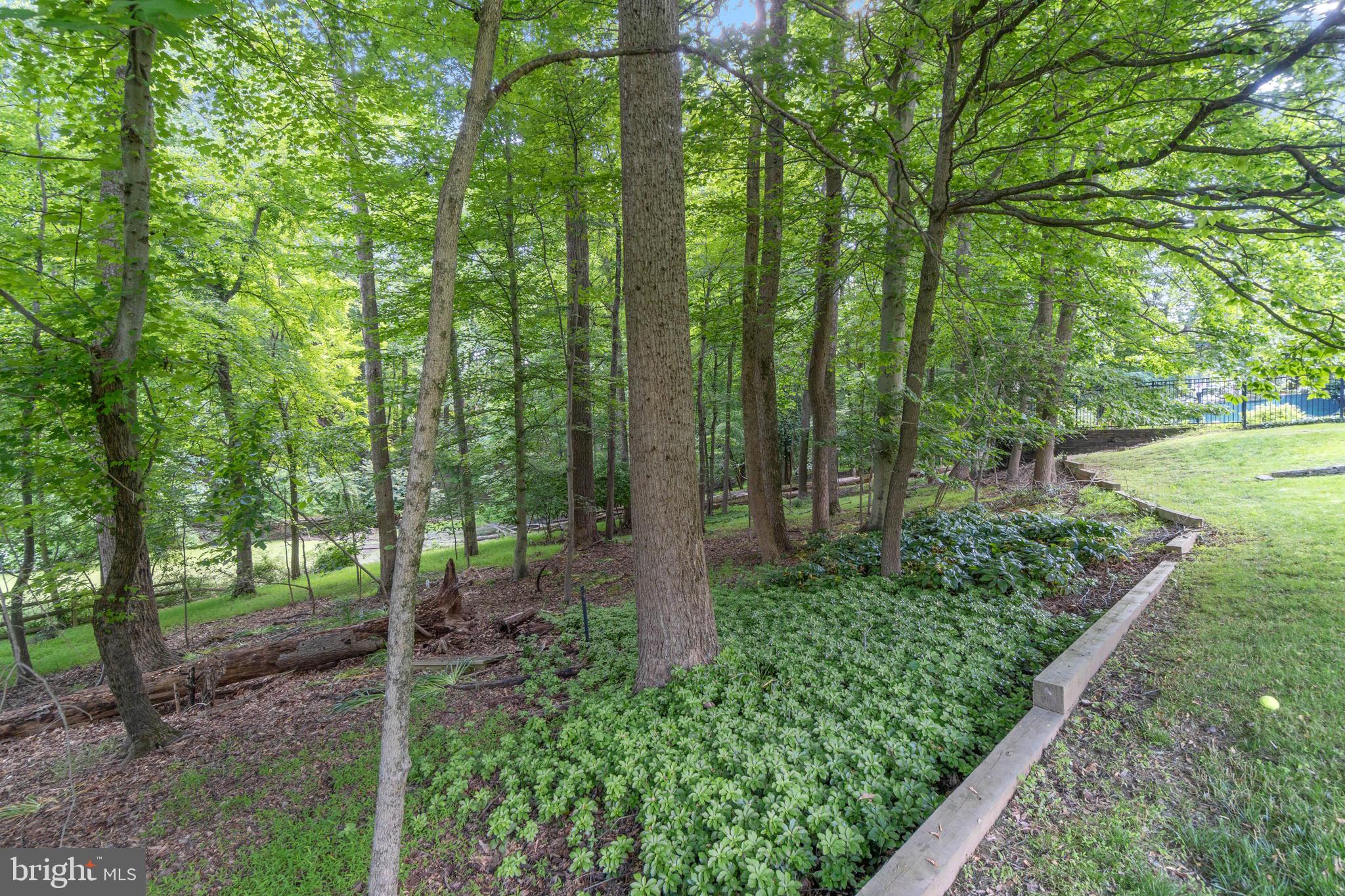10 Atwood Court Silver Spring, MD 20906 - Photo 21 of 21 Gallery Image 21