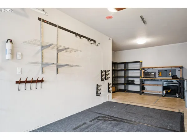 a view of a flowers in a garden