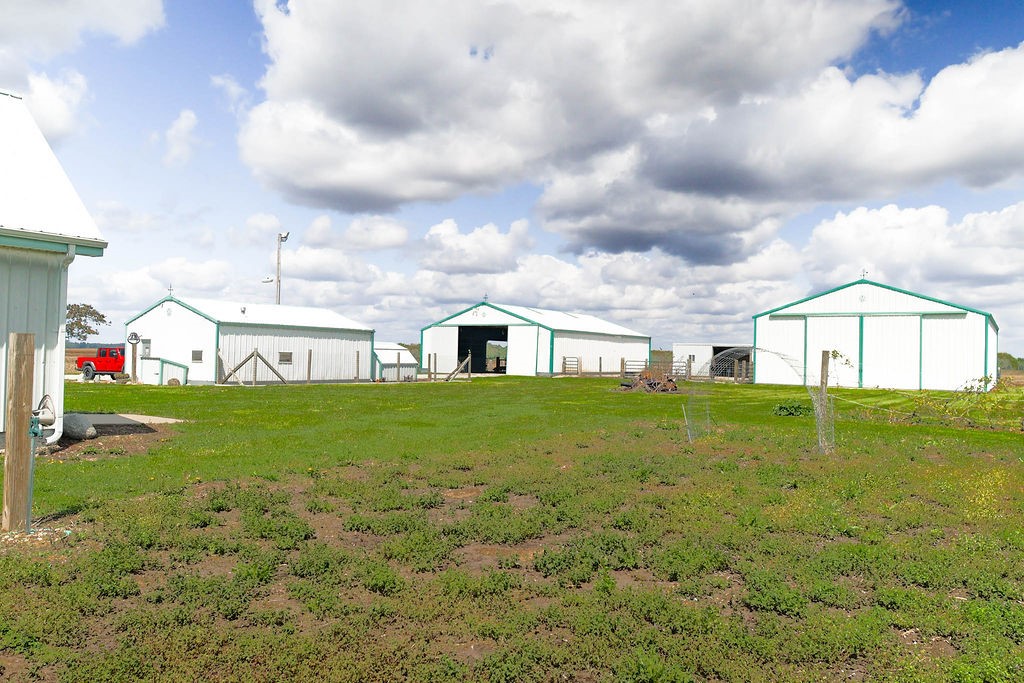 1073 Catlin Homer Road Homer, IL 61849 - Photo 37 of 40