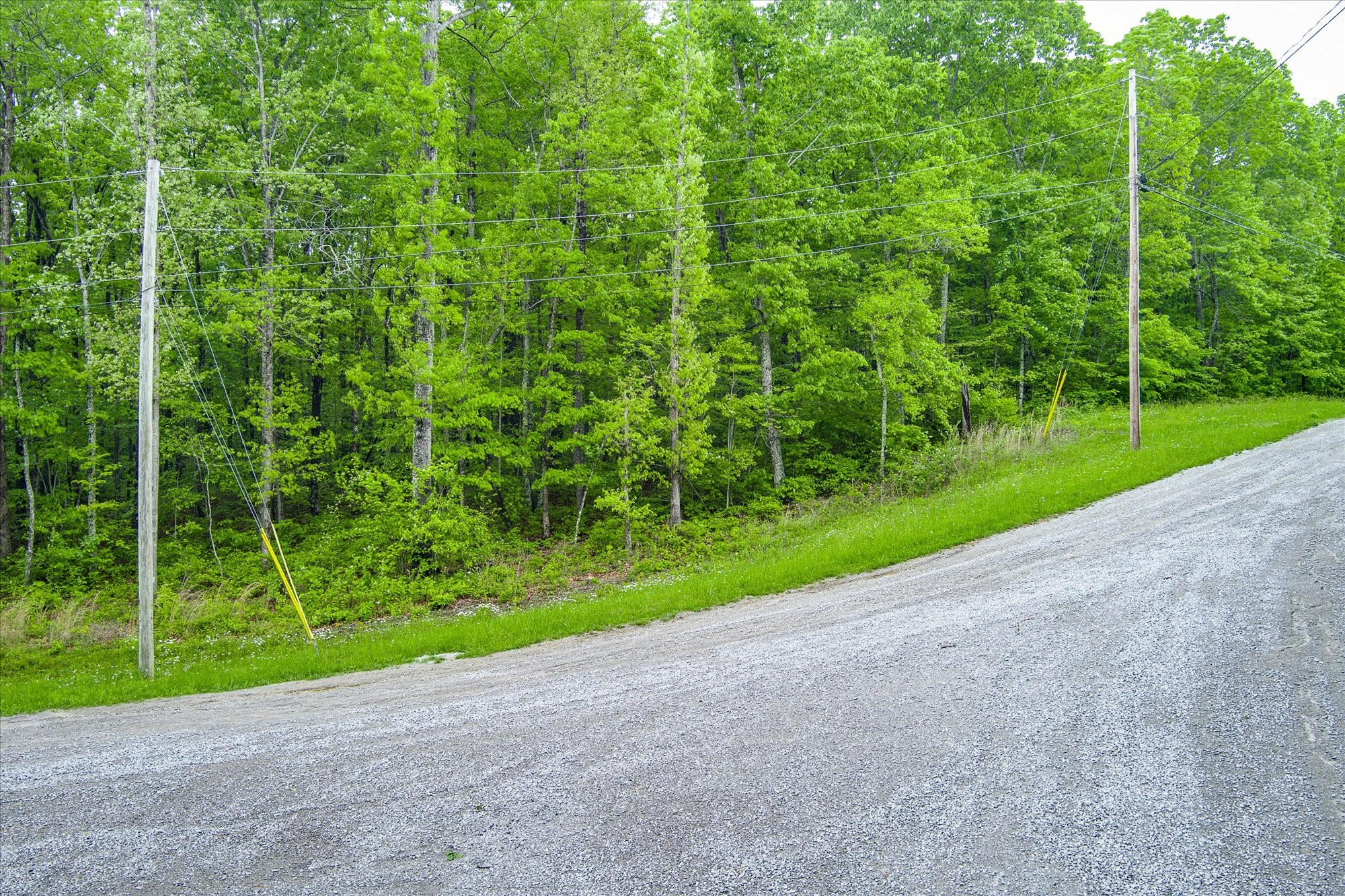 0 Rocky Top Road Monterey, TN 38574 - Photo 1 of 10 Gallery Image 1