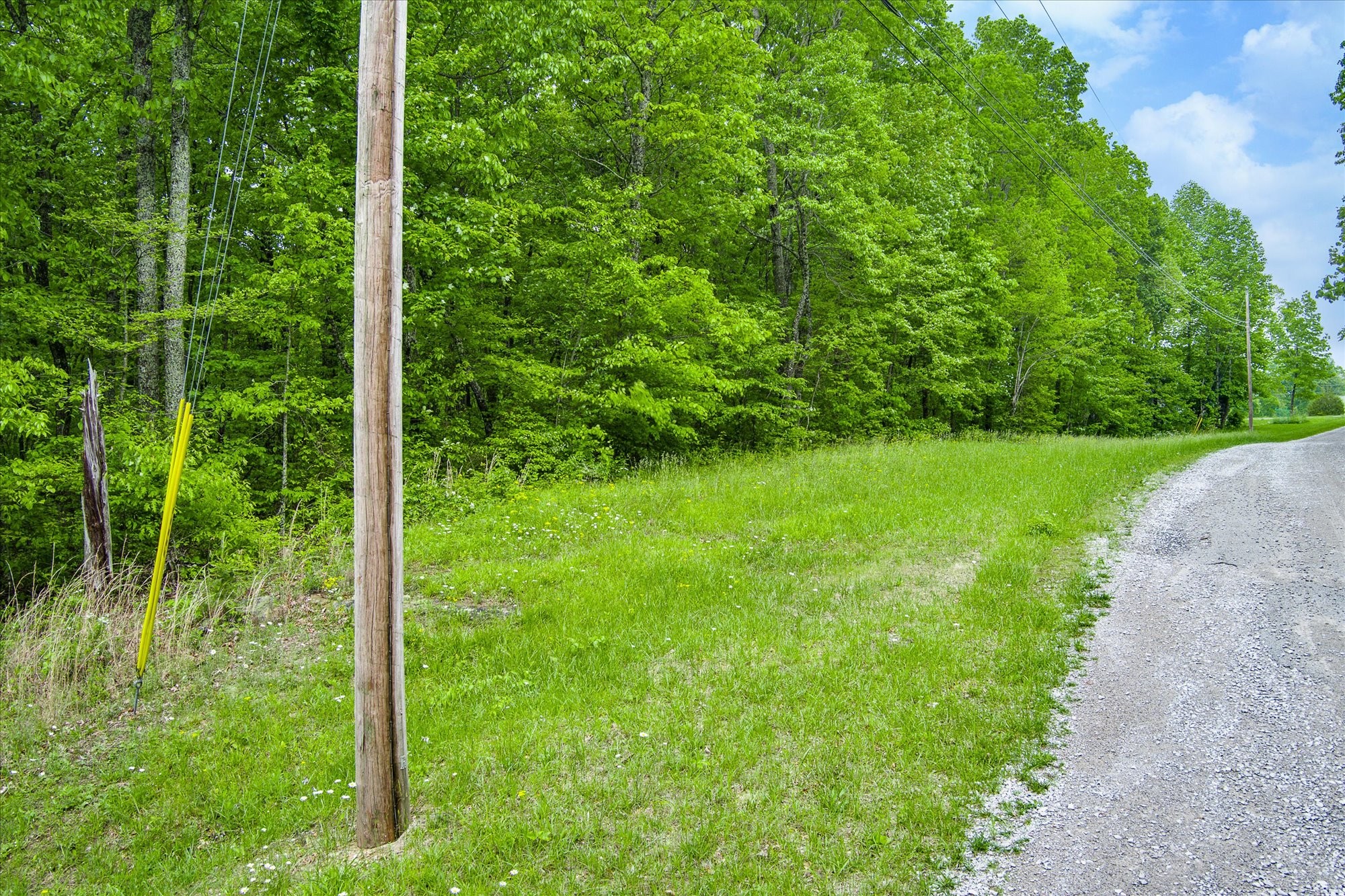 0 Rocky Top Road Monterey, TN 38574 - Photo 4 of 10 Gallery Image 4