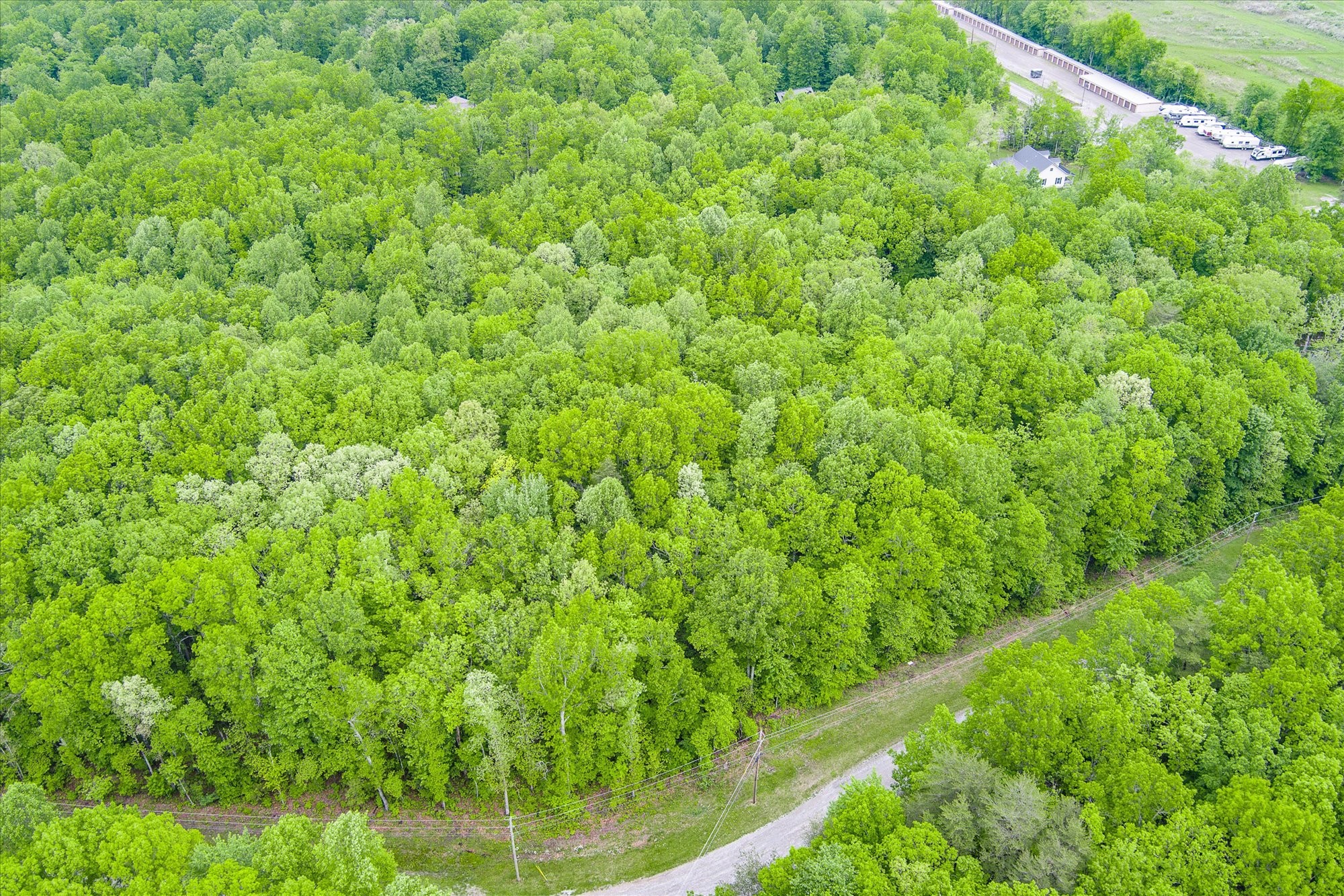 0 Rocky Top Road Monterey, TN 38574 - Photo 6 of 10 Gallery Image 6