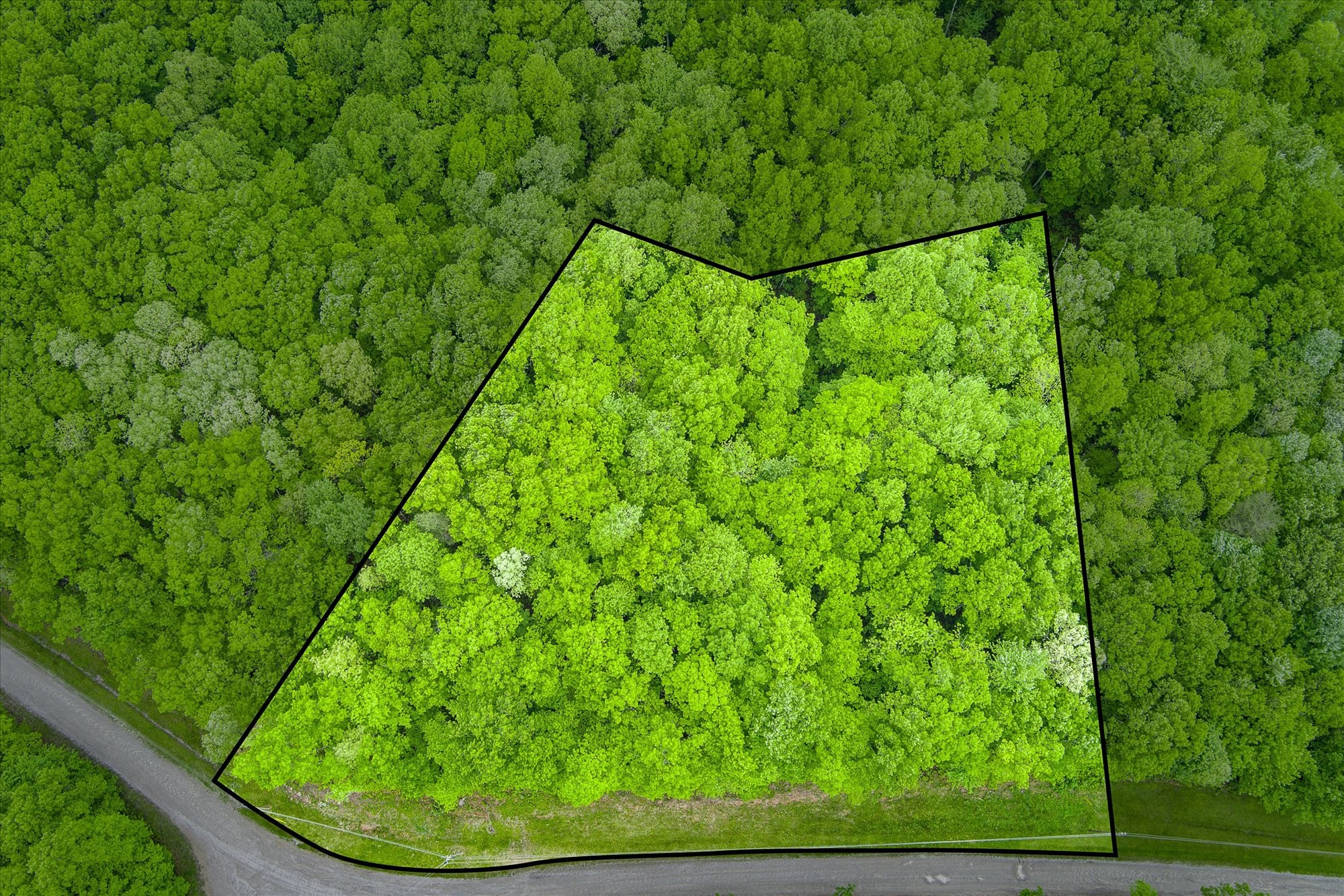 0 Rocky Top Road Monterey, TN 38574 - Photo 7 of 10 Gallery Image 7