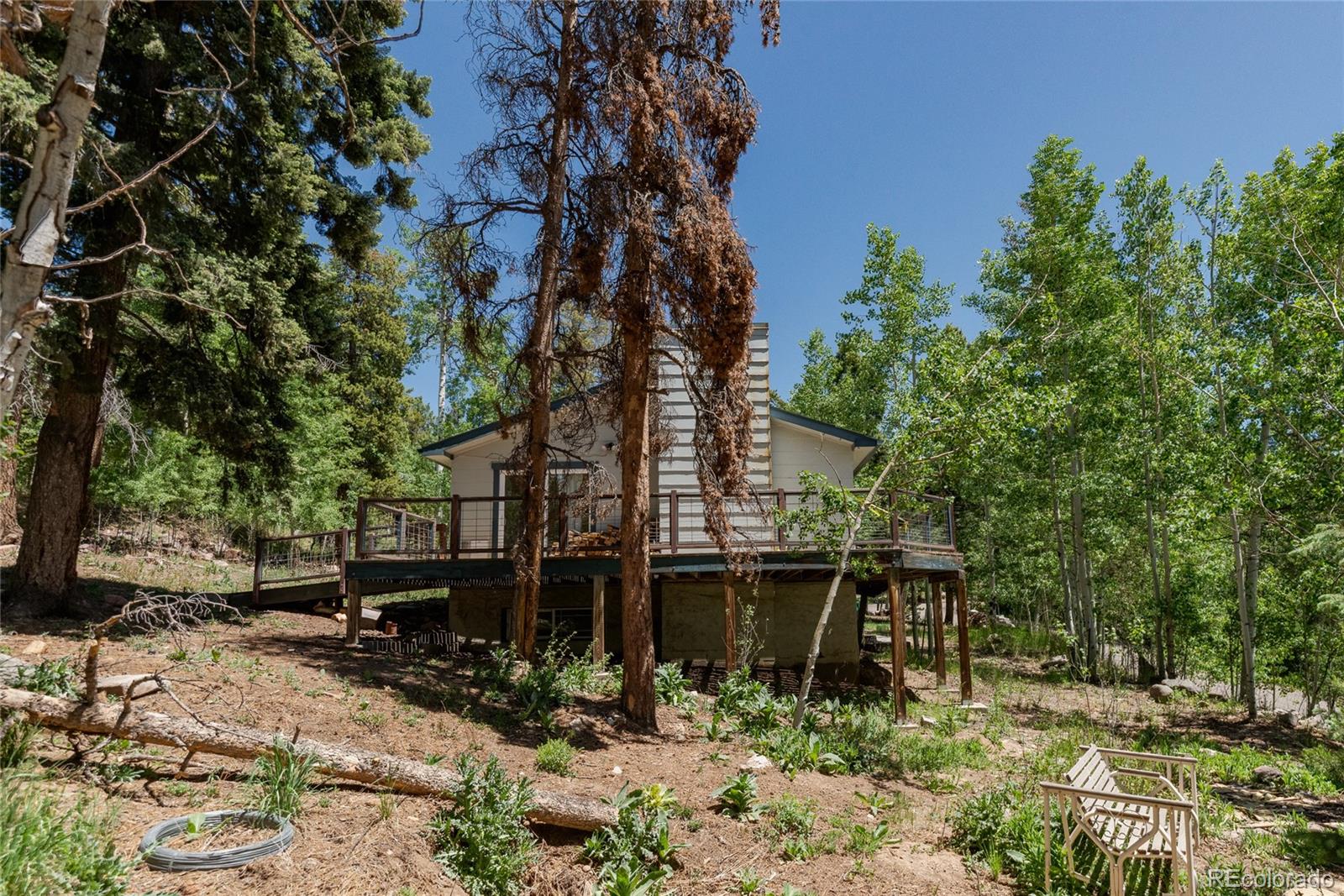 11682 Baca Road Conifer, CO 80433 - Photo 25 of 36
