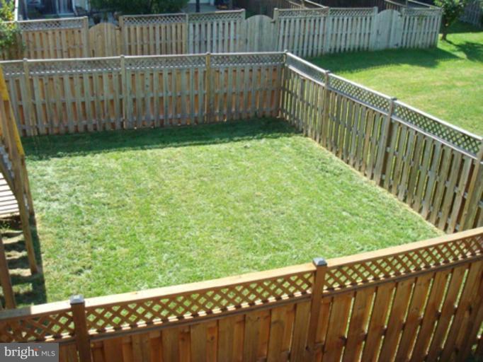 Back yard