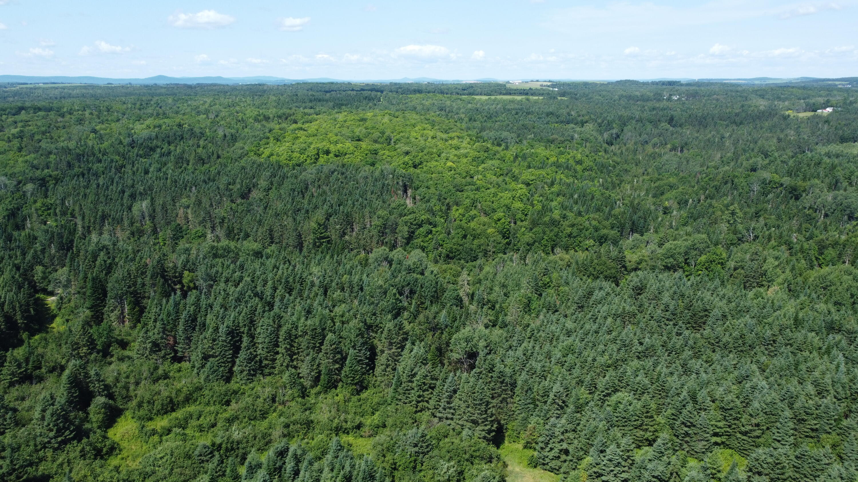 512 Graham Road Easton, ME 04740 - Photo 13 of 22 DJI_0119