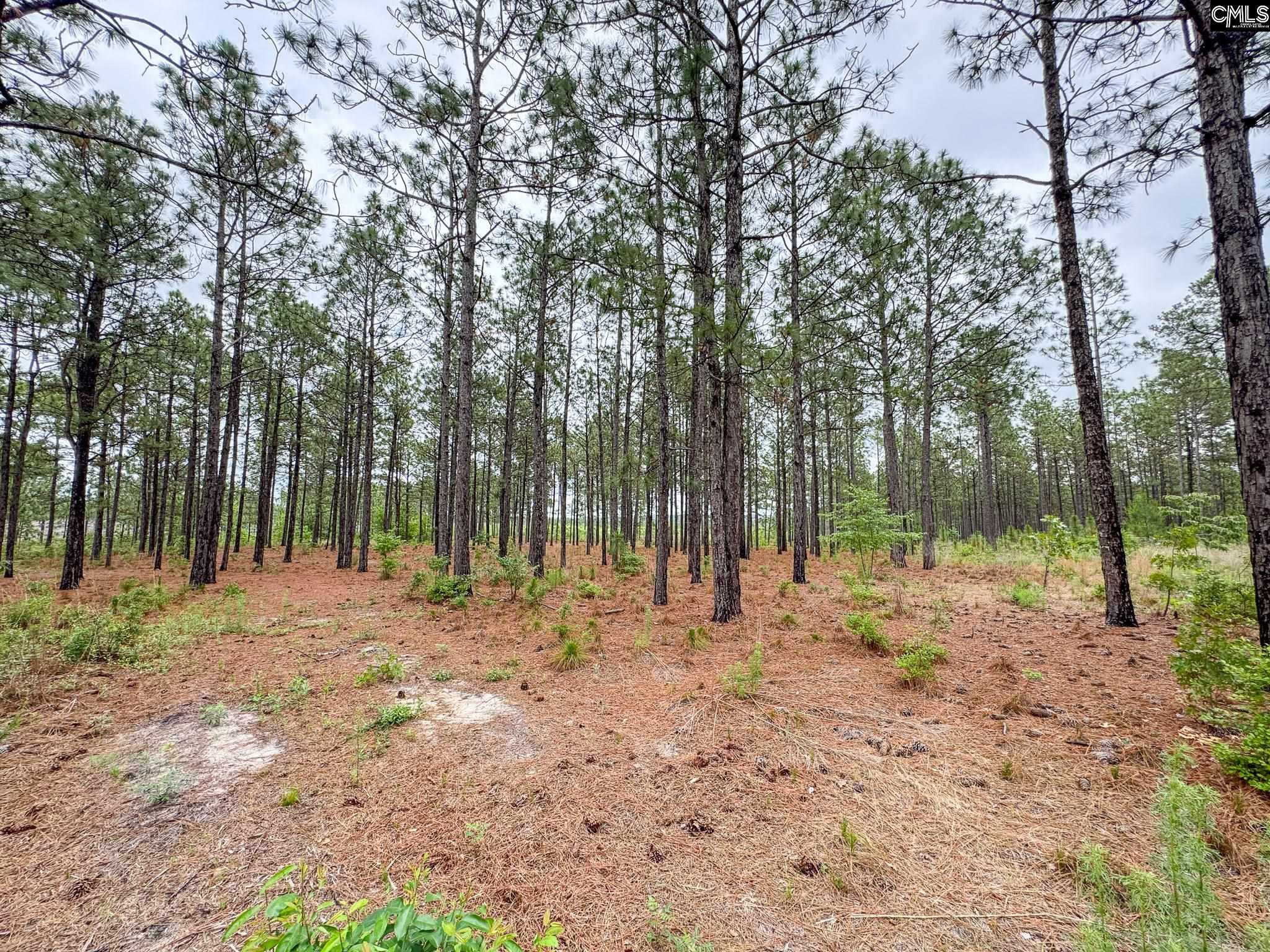 0 Neely Wingard Road, Unit LOT 6 Leesville, SC 29070 - Photo 1 of 8