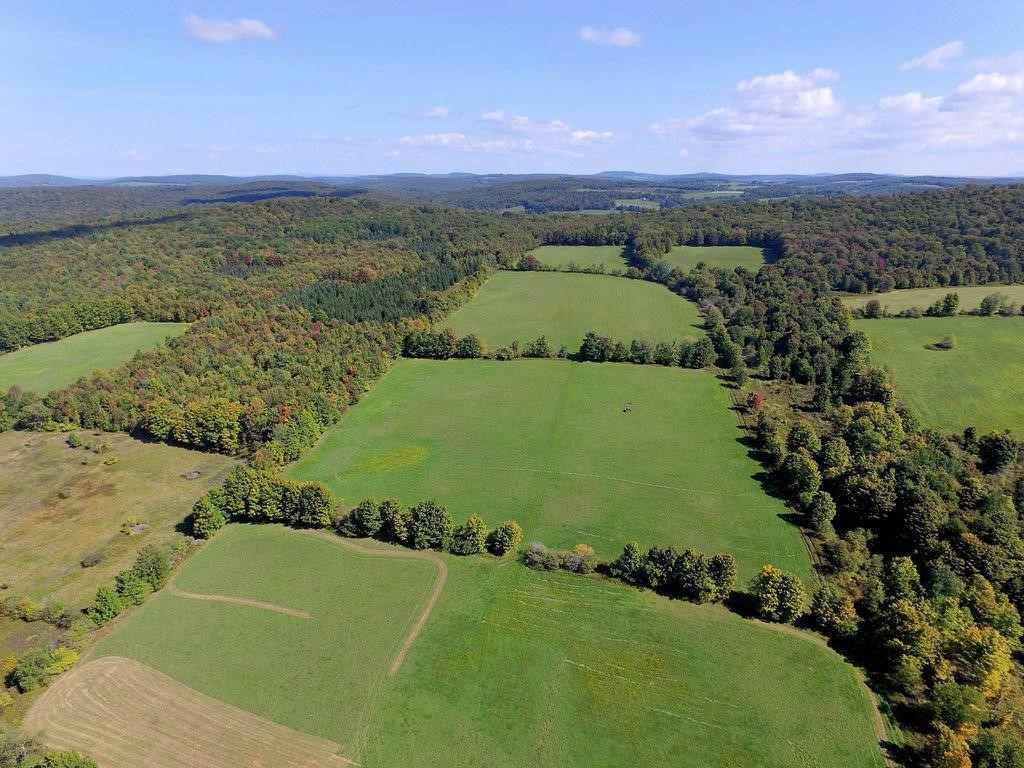 Lot 6 Warren Road Meredith, NY 13753 - Photo 4 of 15 Gallery Image 4