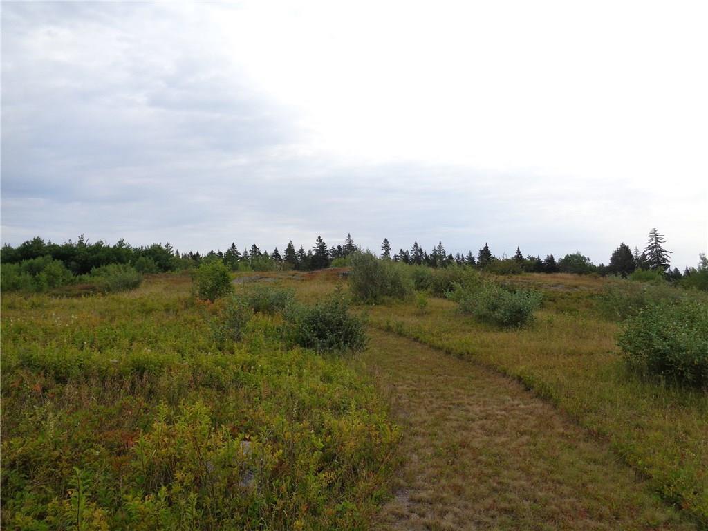 0 Ficketts Point Road Milbridge, ME 04658 - Photo 3 of 17 Photo