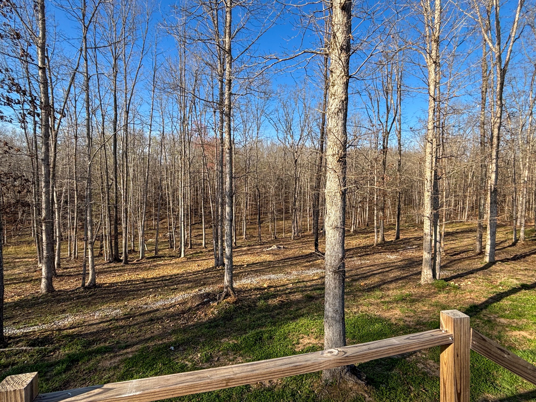 177 Quail Hollow Road Summertown, TN 38483 - Photo 4 of 15 a view of a backyard of the house