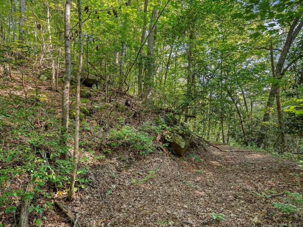 Lot 38 Restless Creek Road Saluda, NC 28773 - Photo 11 of 15 Gallery Image 11