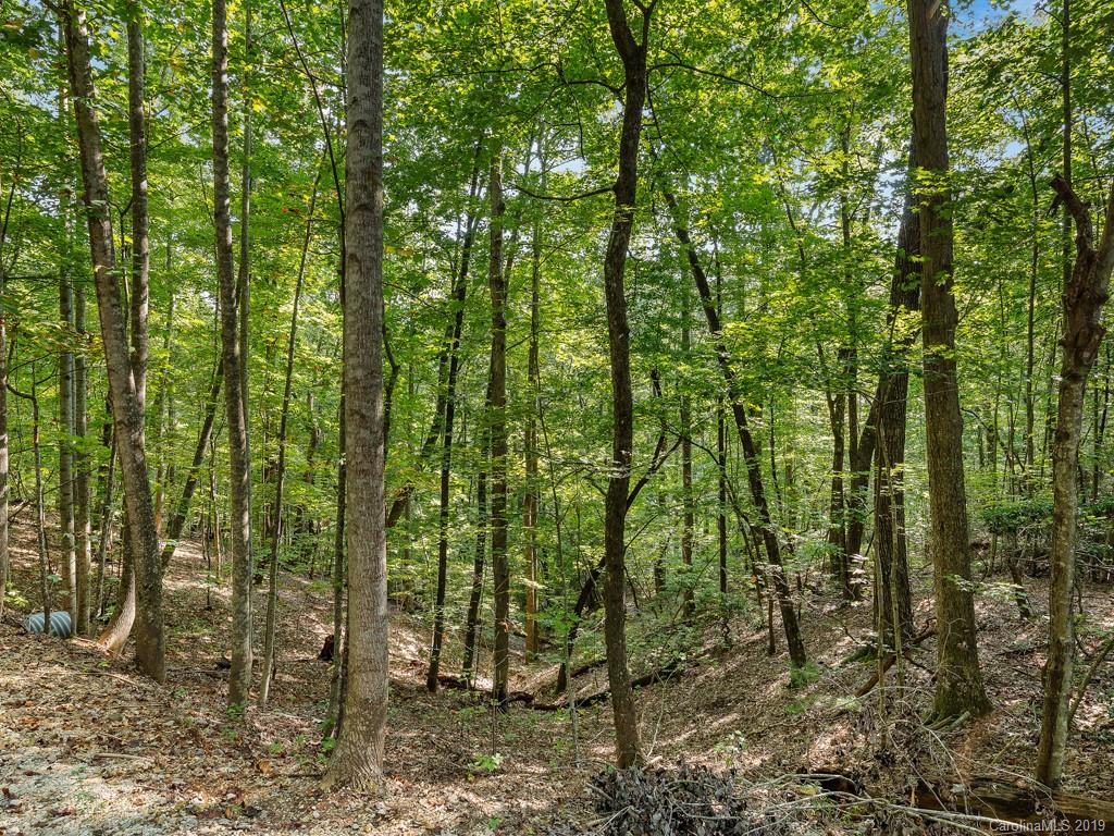 Lot 38 Restless Creek Road Saluda, NC 28773 - Photo 12 of 15 Gallery Image 12