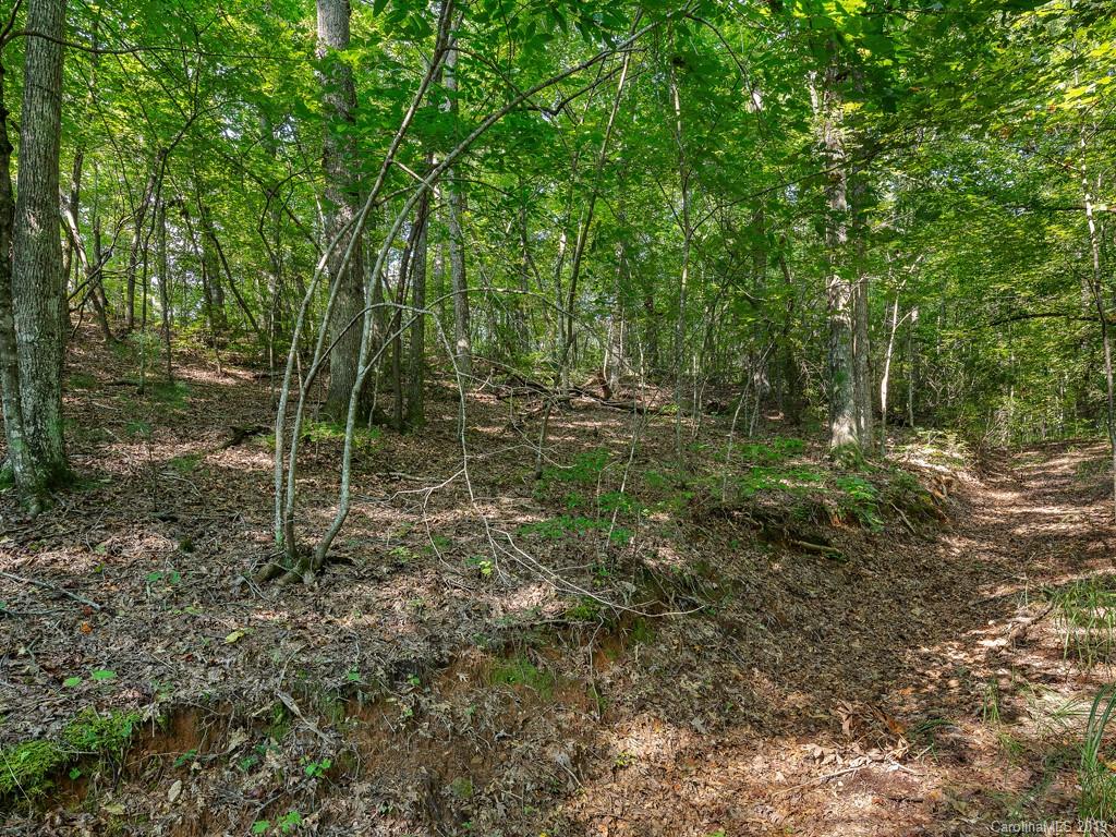 Lot 38 Restless Creek Road Saluda, NC 28773 - Photo 8 of 15 Gallery Image 8